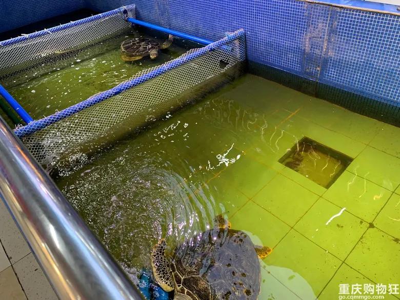 重庆杨家坪的记忆,重庆记忆杨家坪