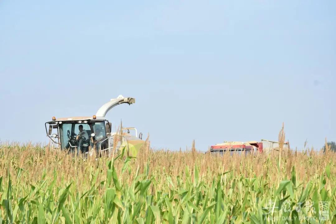 来赴一场雪乡长白山之约,来赴一场冬日的黄金之约