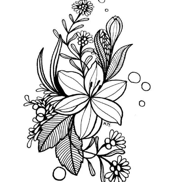 高级线描画花卉大全,花卉线描100种