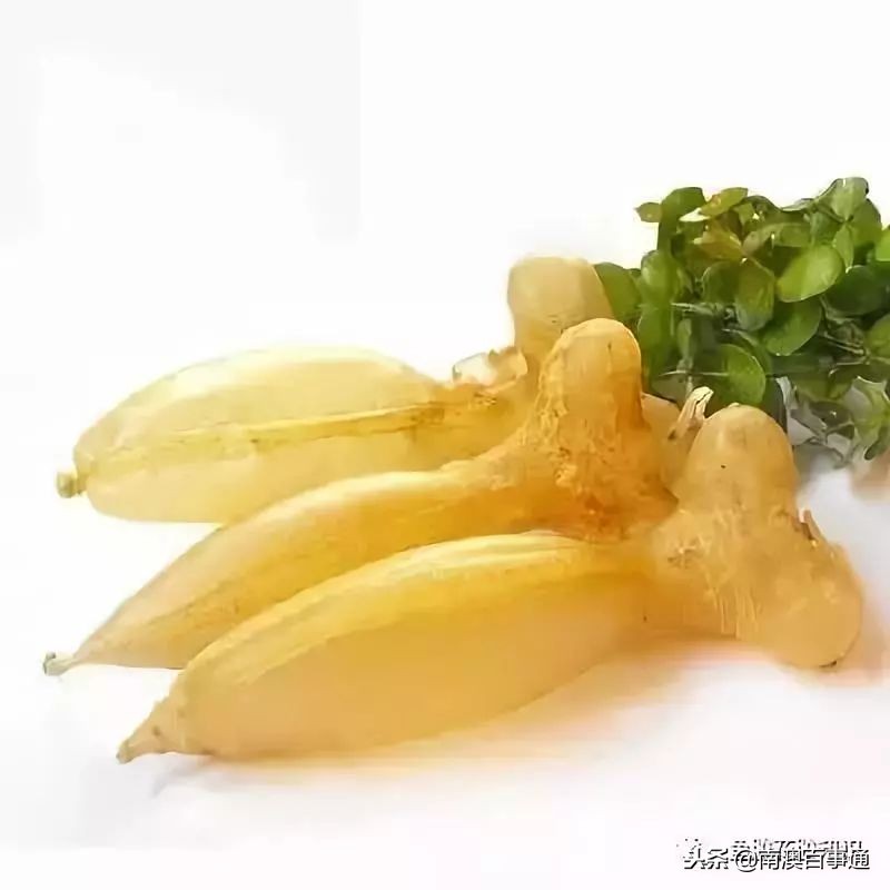 涨知识!鱼胶种类大全,不看亏大了!