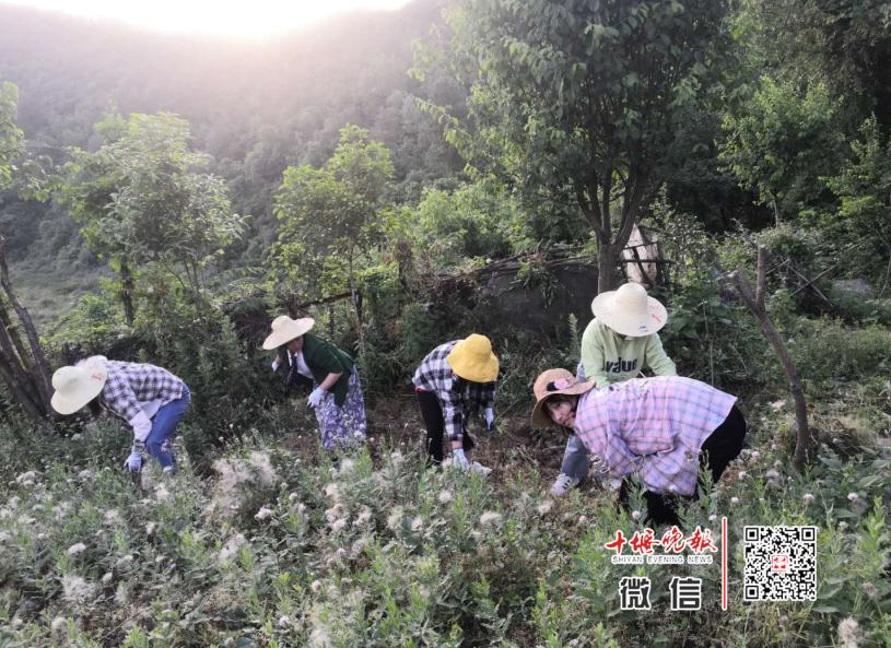 还未开学的幼儿园老师日常,十堰幼儿园开学