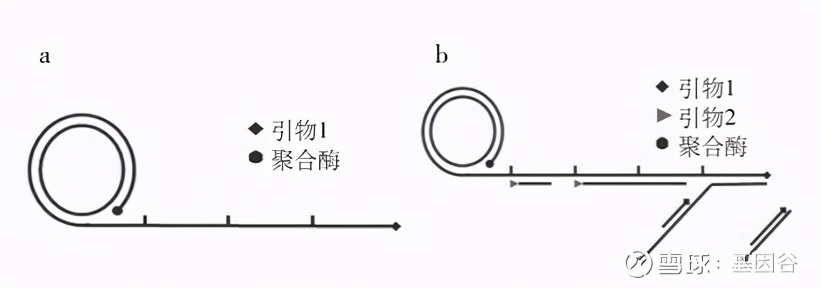 全场硬菜！分子诊断技术全解析