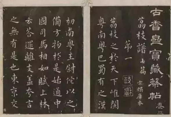 杨贵妃妃子笑荔枝,一骑红尘妃子笑杨贵妃喜欢荔枝吗