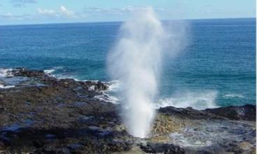 寻找侏罗纪世界中的火山岛，和“驯龙高手”一起拯救史前小短手！