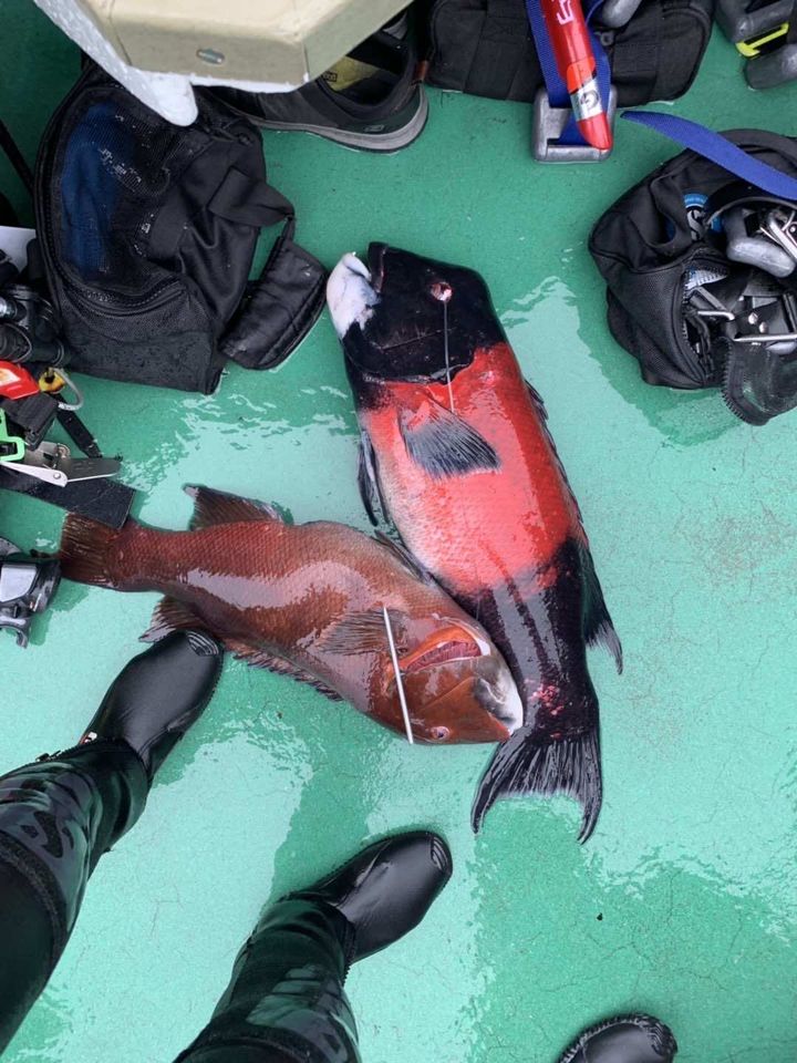 宾州州立大学帕克分校留学攻略,宾州州立大学帕克分校条件