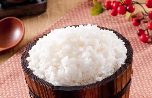 閲庨蹇呭椋熺墿绱彍鍖呴キ,閫傚悎閲庨绱彍鍖呴キ