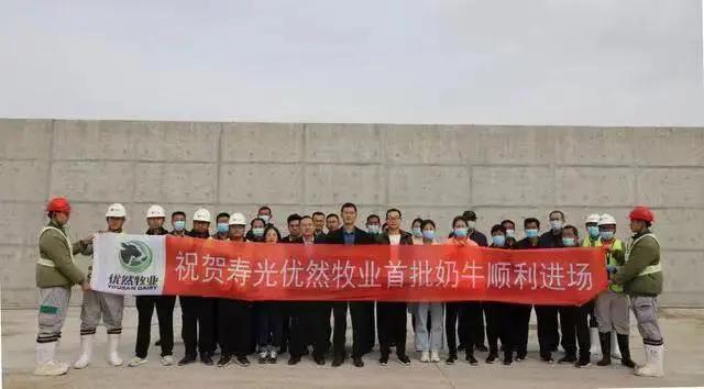 乳业数据,乳业行情最新