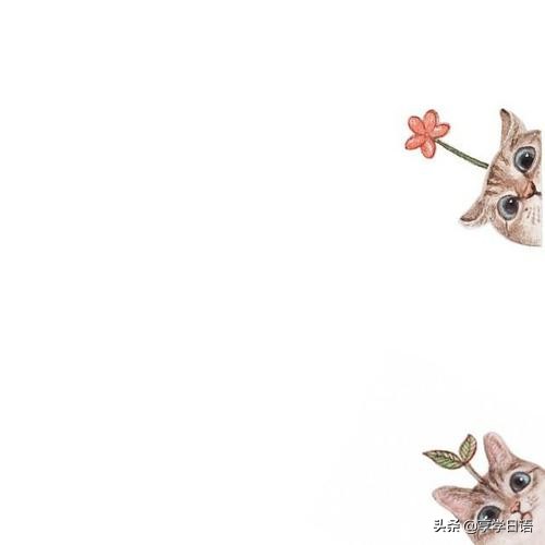 日语万能礼貌用语,学习日语掌握更多日语基本问候语