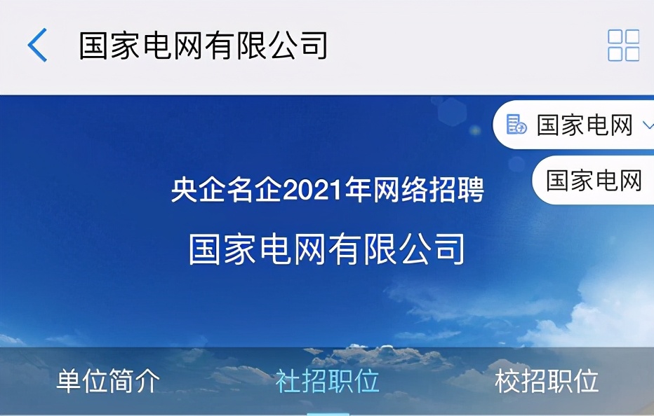 国家电网财务会计招聘,国家电网招聘财务工资