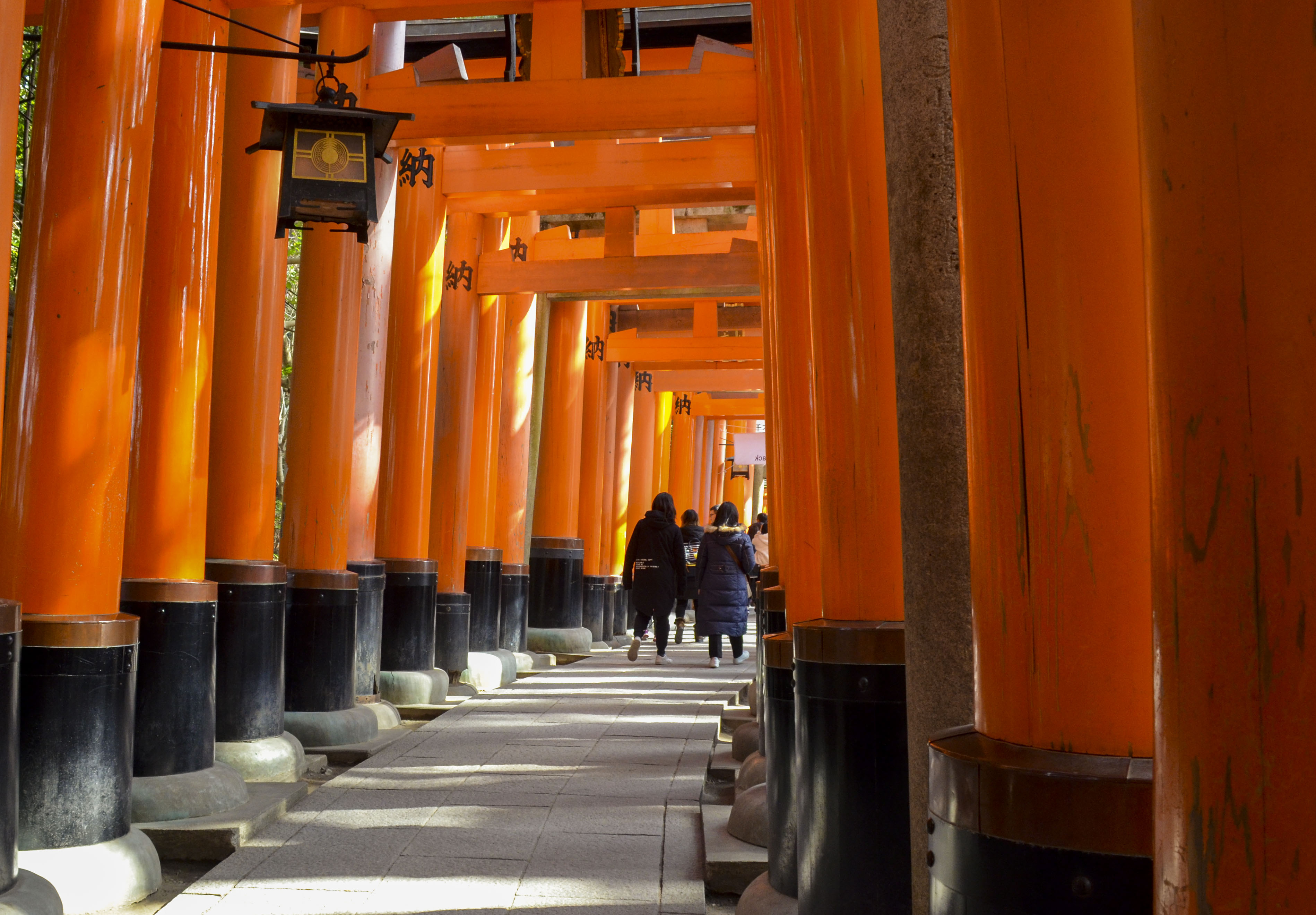 去日本看大阪需要准备什么,日本关西五天旅游攻略