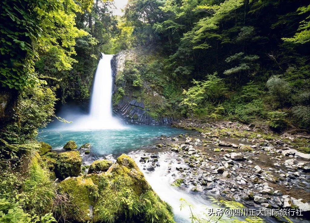 3日行走舞女激情步道体验伊豆万千浪漫