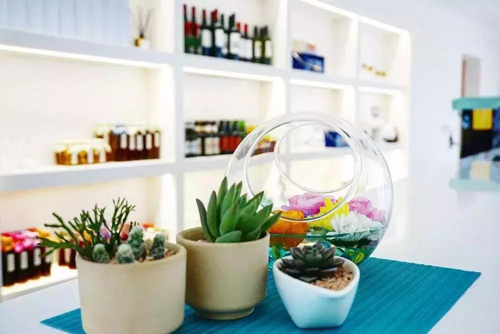 去上海必去的民宿,上海树林民宿推荐