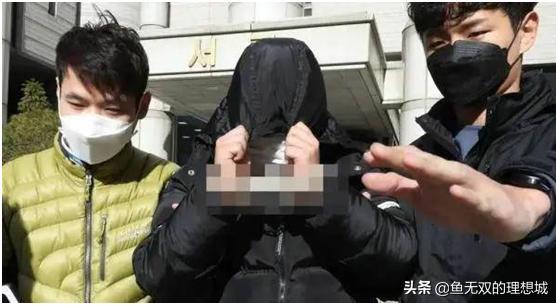 鱼眼观察郑重道歉视频,鱼眼观世界