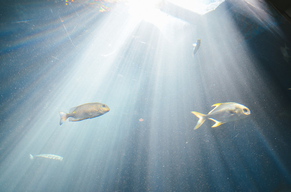 三亚休闲度假旅游攻略推荐,三亚休闲度假旅游攻略