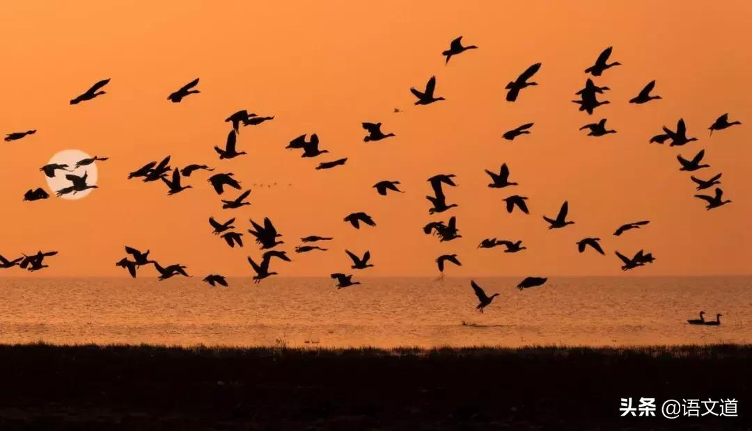 觊觎读法,觊觎同音字读音