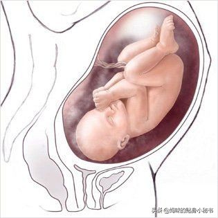 月经推迟多少天可以判定为怀孕,推迟几天能测出怀孕不怀孕呢