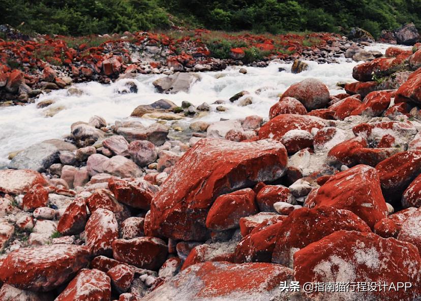 川西不止稻城亚丁：欢迎来到异世界的神秘入口