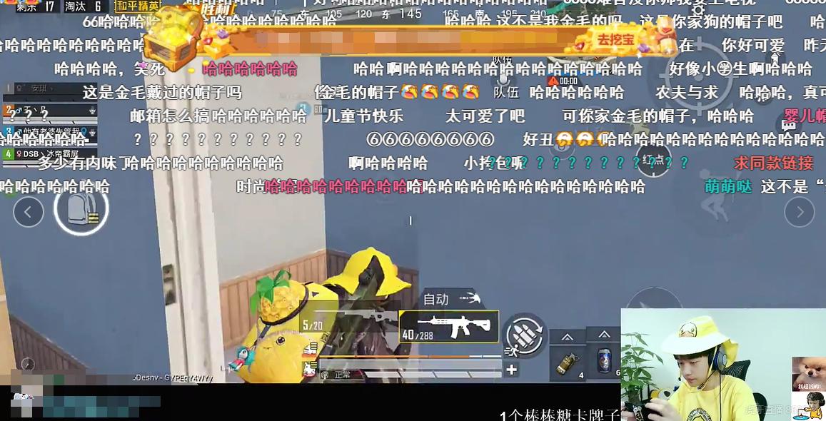 晚玉儿童节大胆表白不求人！不求人一个字回应他对晚玉的“感情”