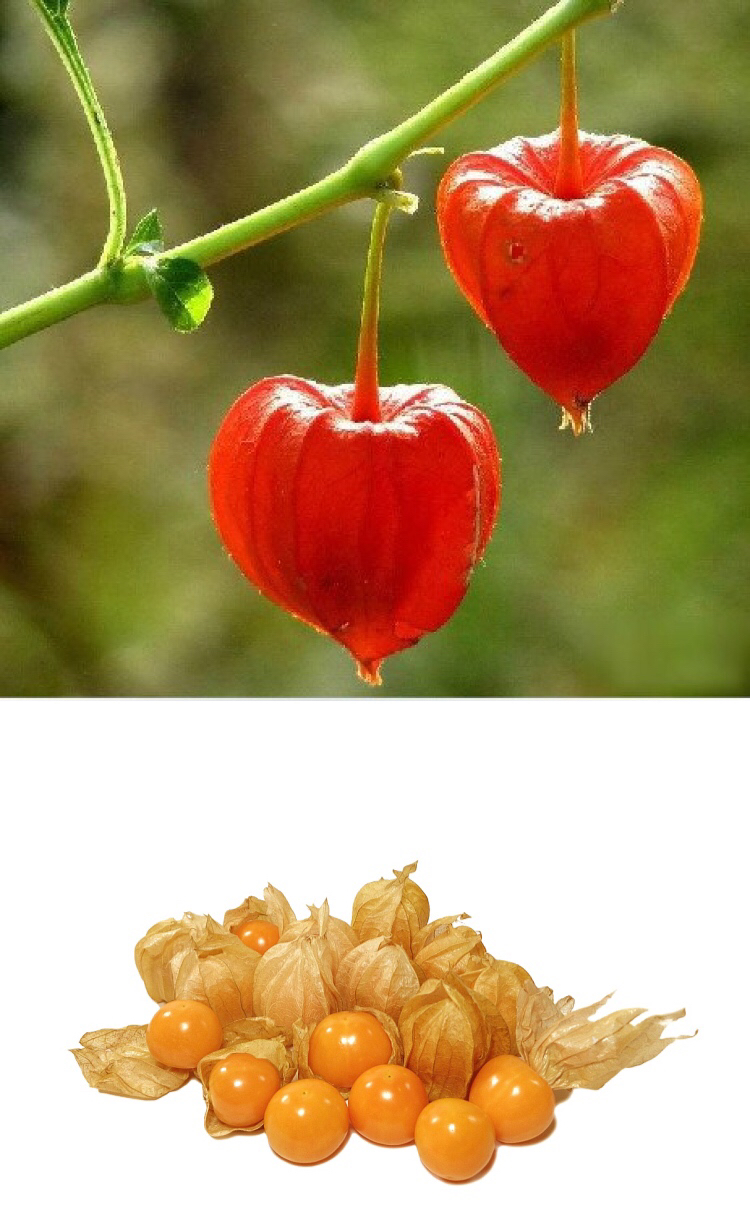 10大奇异水果你吃过几种,这五种奇葩罕见的水果你吃过几种