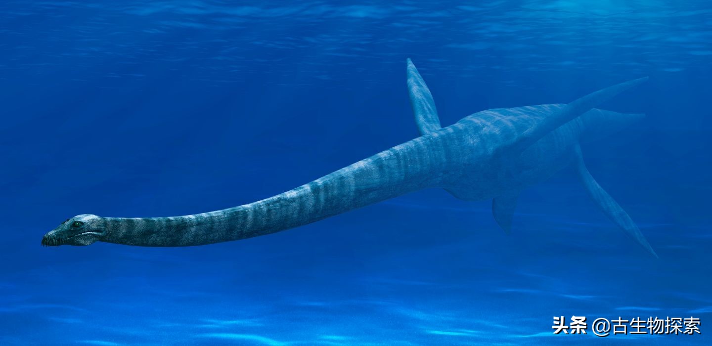 蛇颈龙为什么存在那么久,蛇颈龙为什么会进化