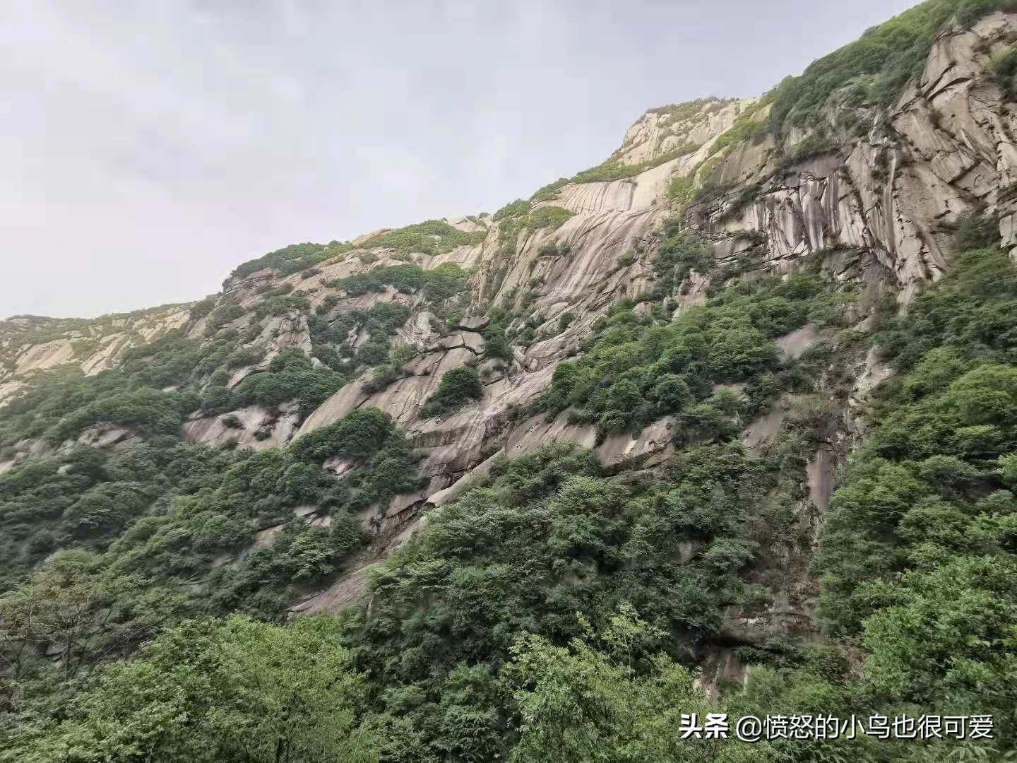 华山一日游自由行攻略大全,五一爬华山攻略