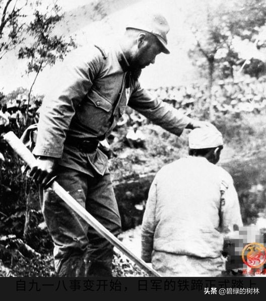 替日军暴行道歉,关于日本在华的暴行有何感想