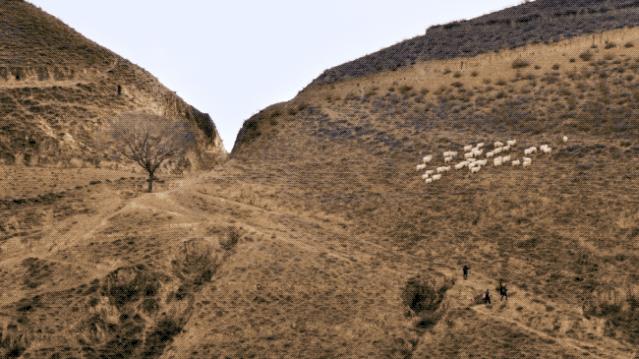 他跟5个西北爷们同吃同睡2年，记录黄河边的绝唱，口碑爆棚