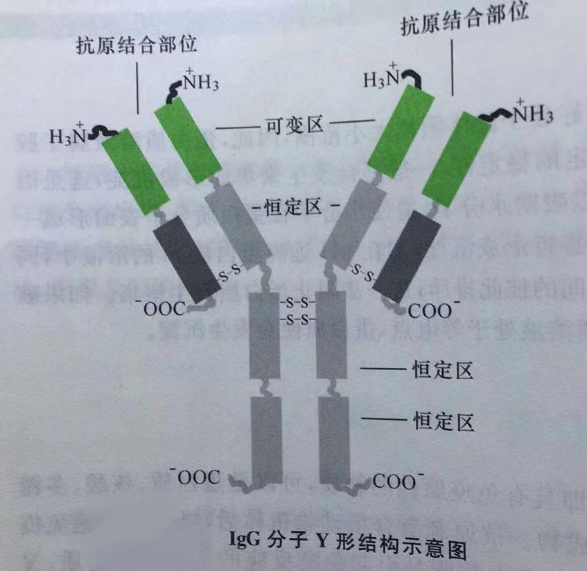 直面疫情砥砺前行,直面汹涌的新冠疫情