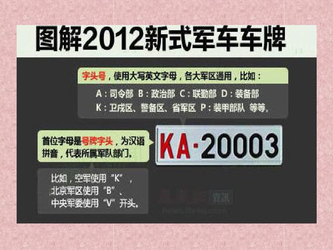 共和国守护者,共和国的守护者简介