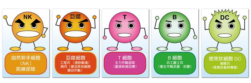 科普免疫系统是如何运作的,免疫系统是如何保护我们的