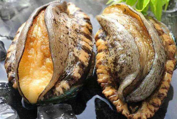 大连长海县海鲜自助,长海县海鲜预订