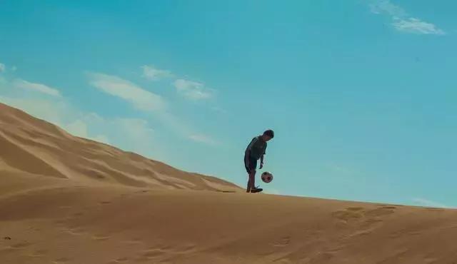 墙角数枝梅凌寒独自开一年级,墙角数枝梅凌寒独自开的志向