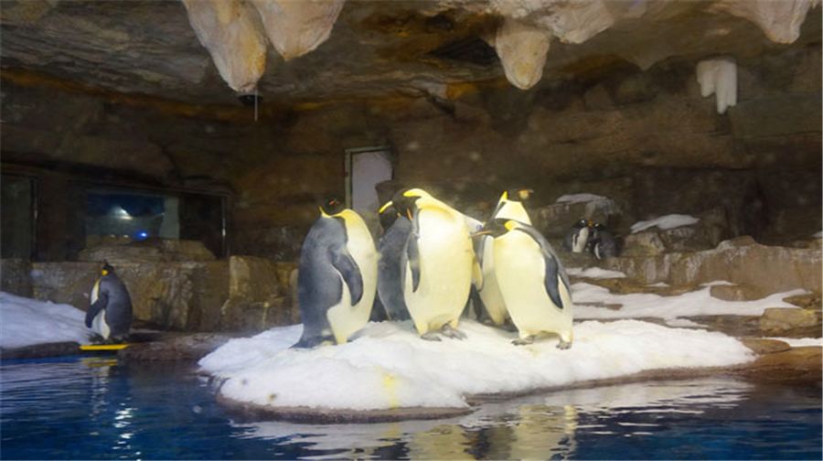 贵阳市多彩贵州城景点推荐,贵州的旅游景点多彩贵州城