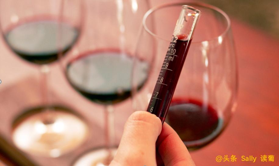 红酒在酒庄经历了什么?争议如此大?朱广权式幽默告诉你