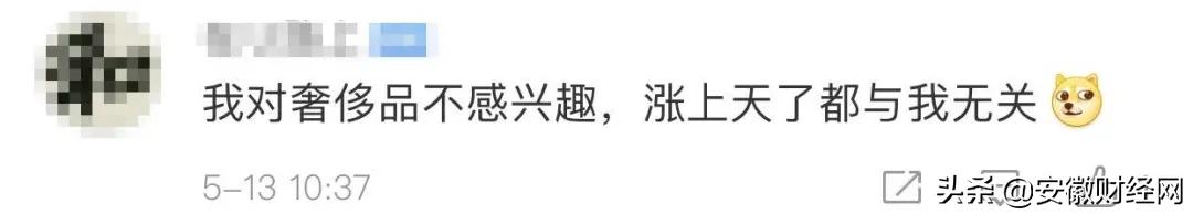 lv涨价的包包,lv涨价的经典款包包