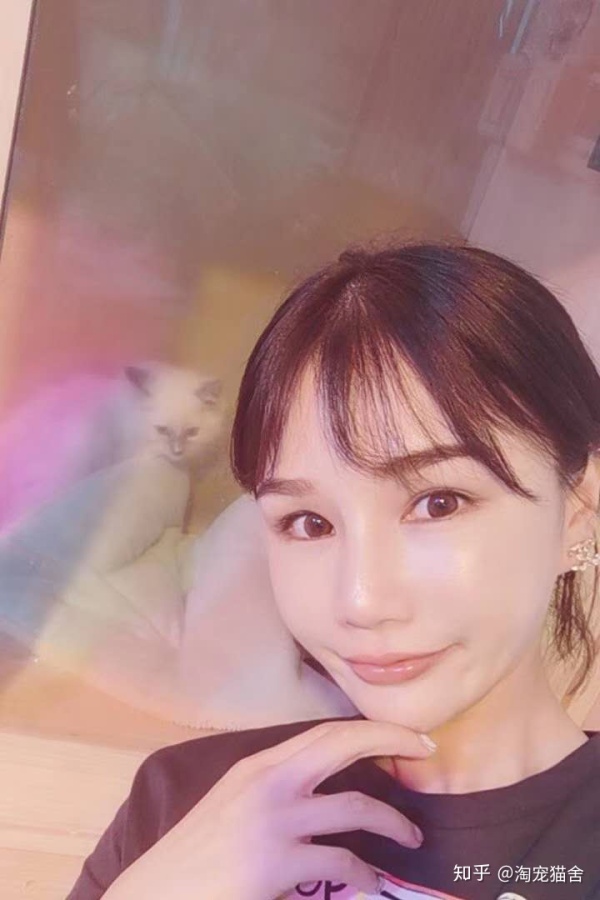 养一只布偶猫是什么感受啊,布偶猫好养吗有什么优点