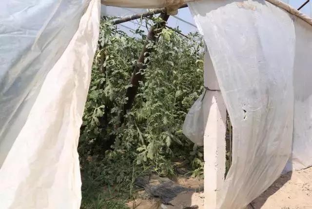 德国平民旅行车,不到20万买旅行车