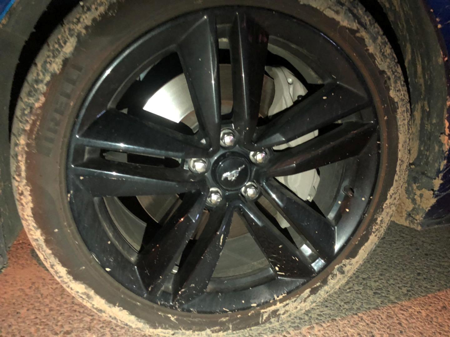 野马还是野驴,野马2.3t小野驴