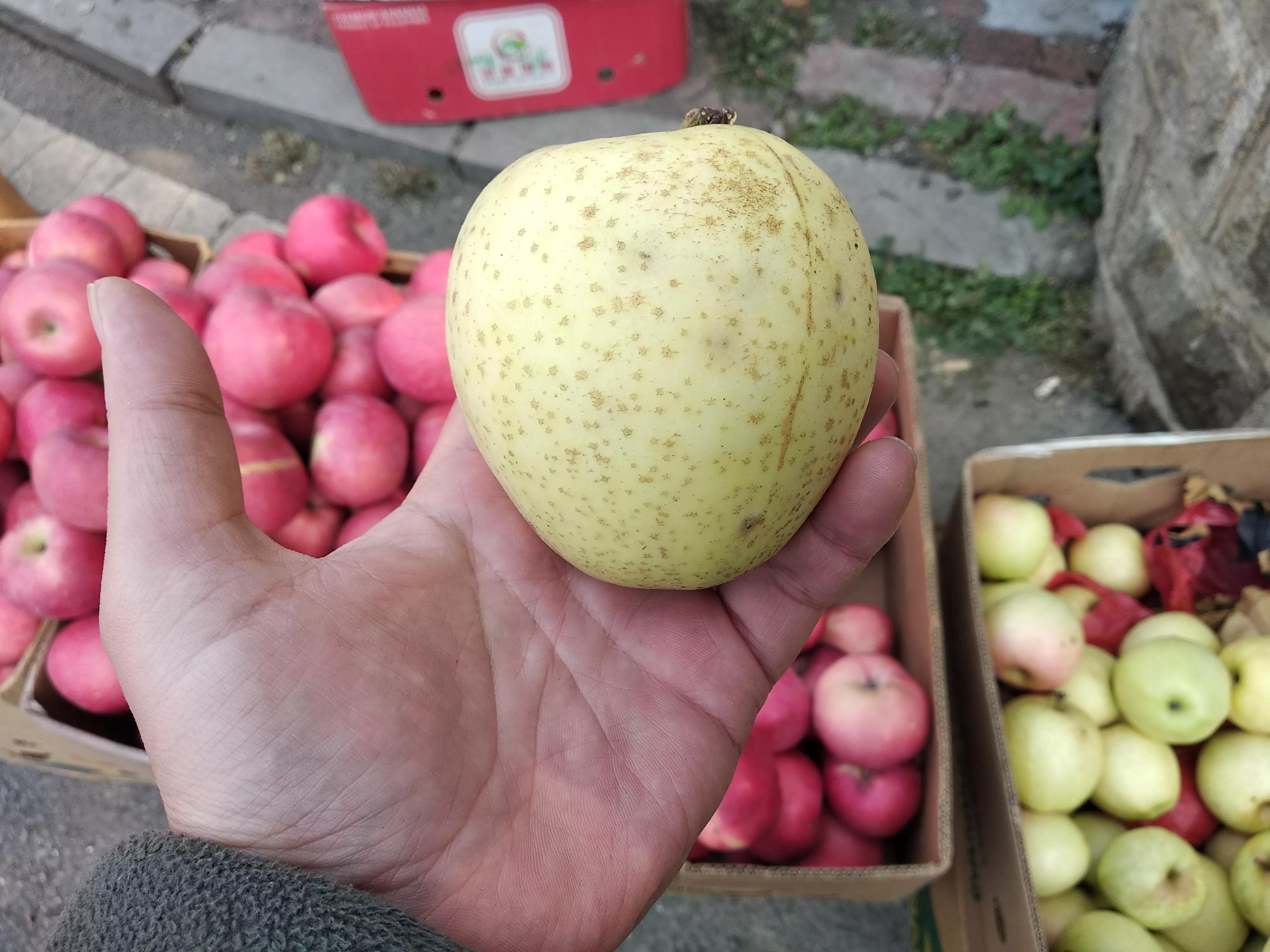 怎样挑选苹果的正确方法,买苹果选啥样的好