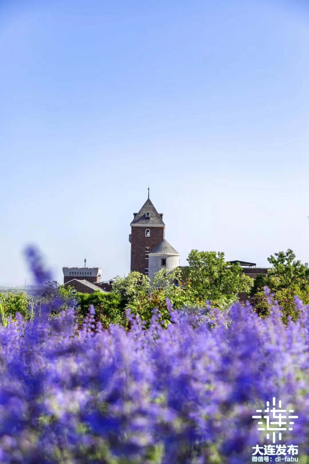 周末去哪玩周边游推荐一个好地方,周边游假期旅游攻略