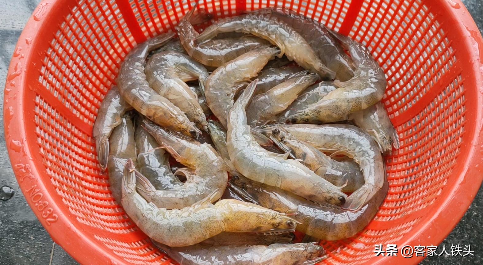 大厨教你大虾最赞做法色香味俱全,大虾这样做不加一滴水出锅香喷喷