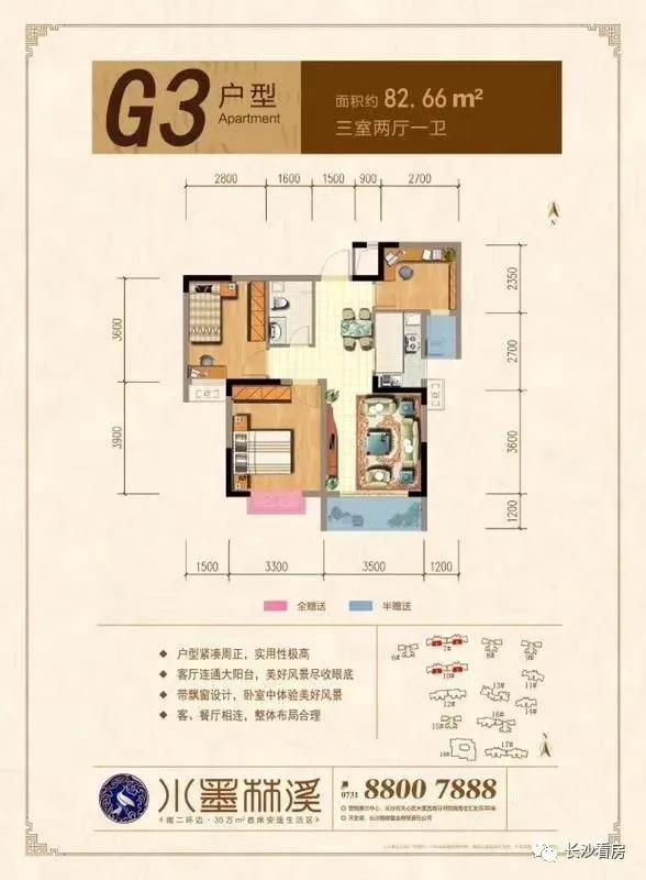 千年老树开新花,千年老树开红花