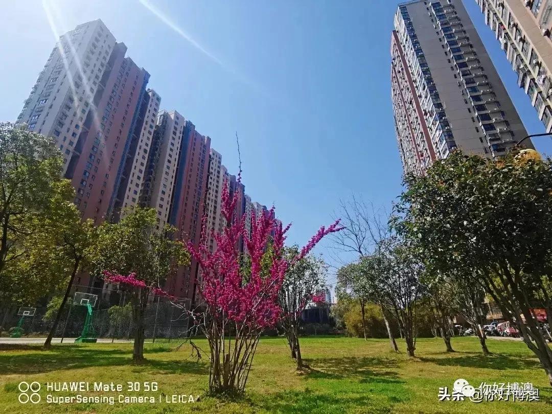 合肥博澳丽苑,合肥博澳丽苑为什么便宜