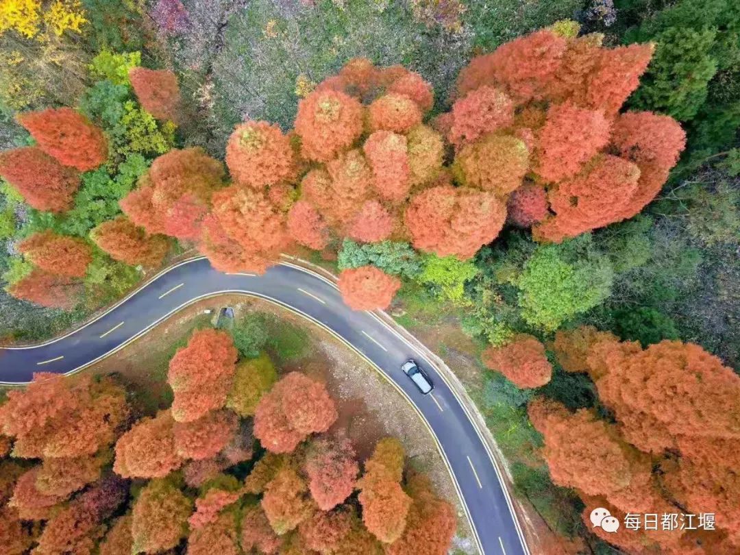 赵公山大熊猫国家生态公园,赵公山大熊猫生态公园