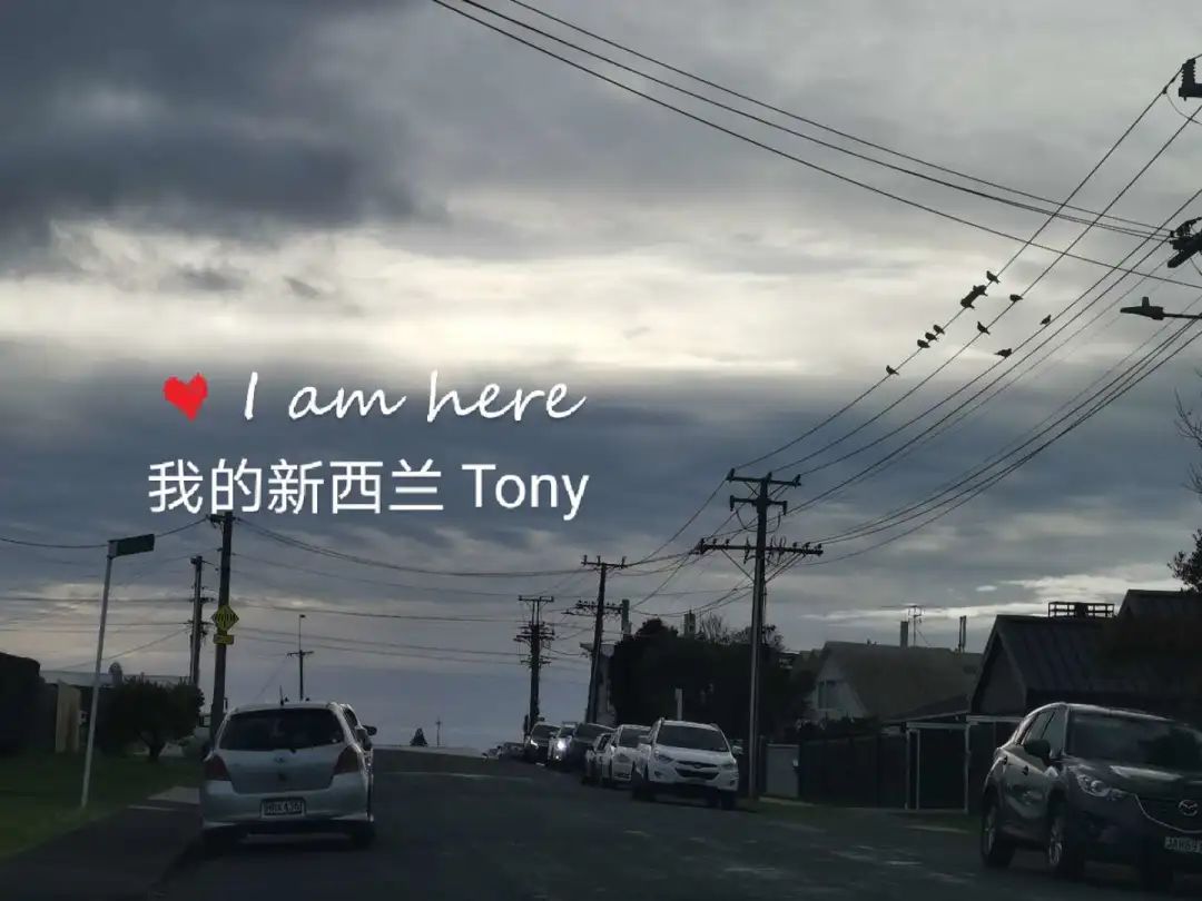 新西兰疫情过后的感受,新西兰疫情开始了吗