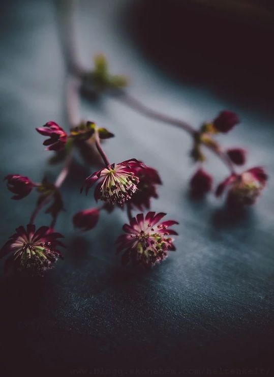 水逆退散迎贵人避小人,水逆退散远离小人