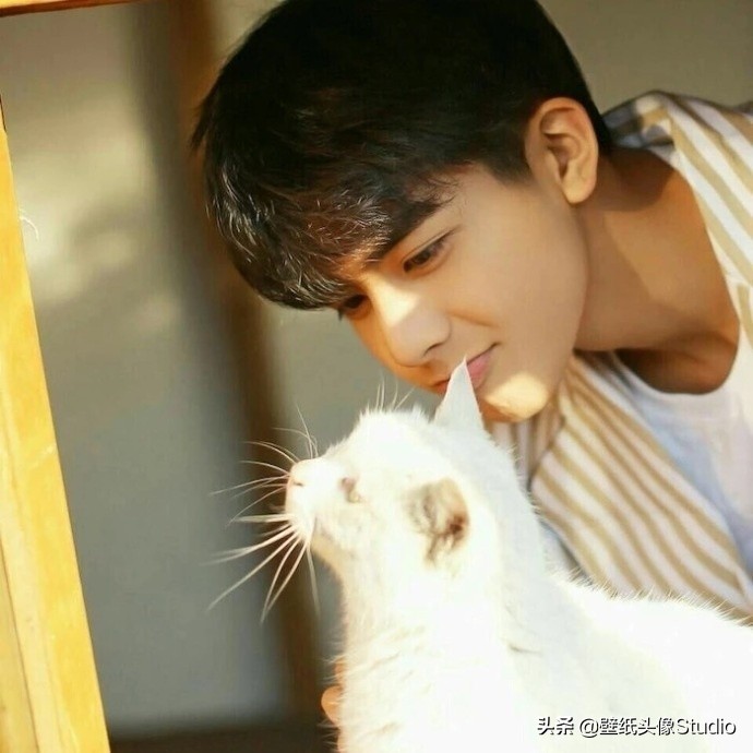 浪漫玫瑰男生头像,男生玫瑰浪漫头像