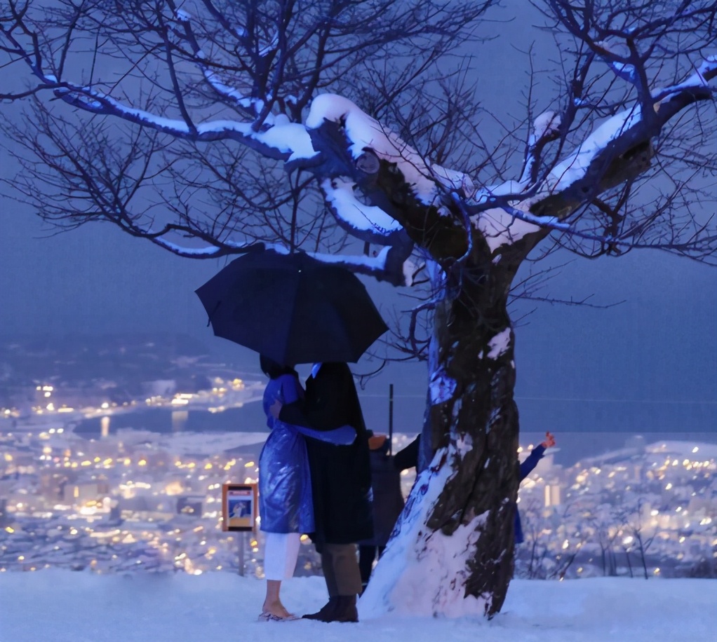 网易云热评看不透,网易云很有深意的热评