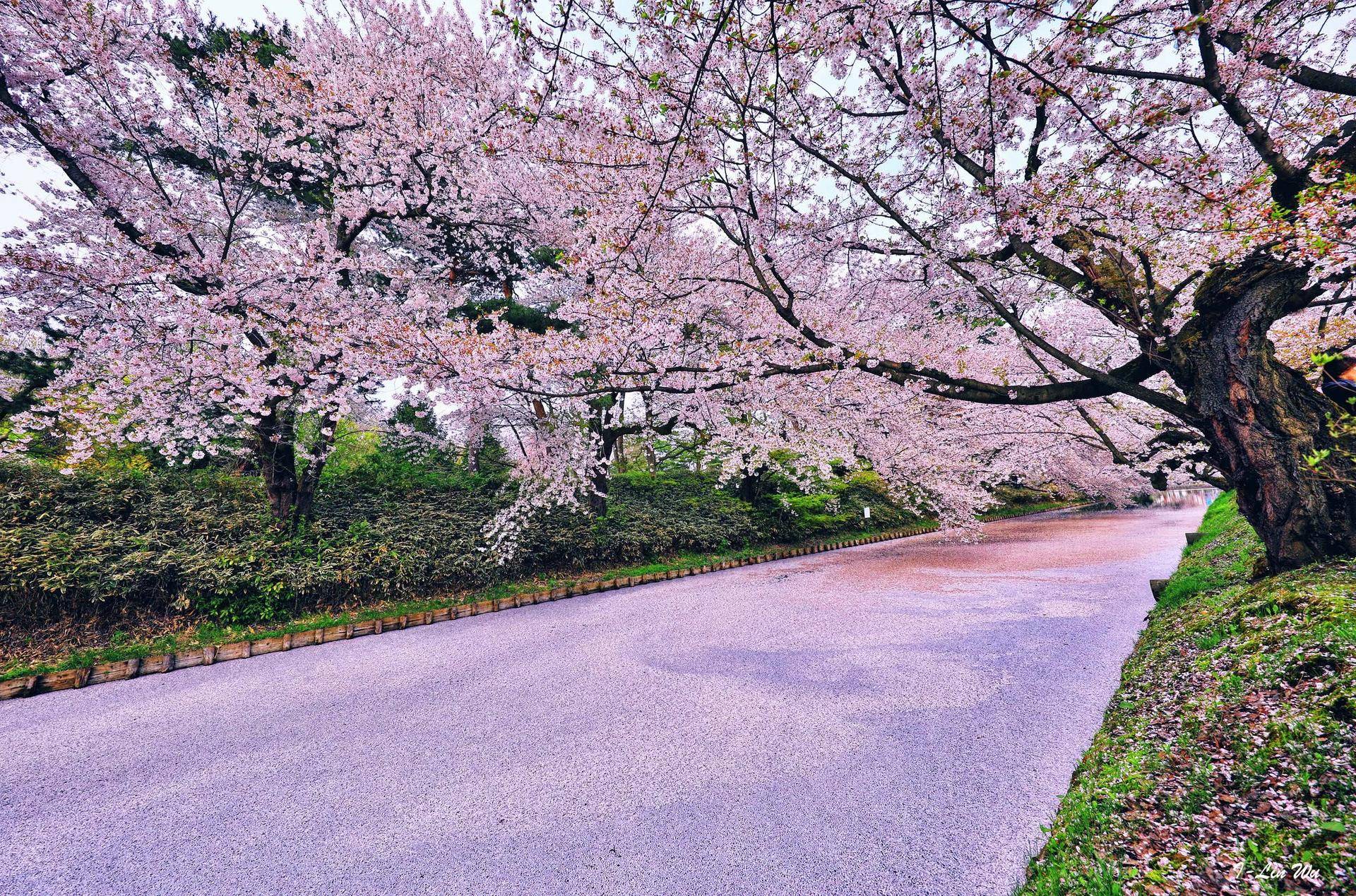 疫情就像照妖镜,疫情下的照妖镜