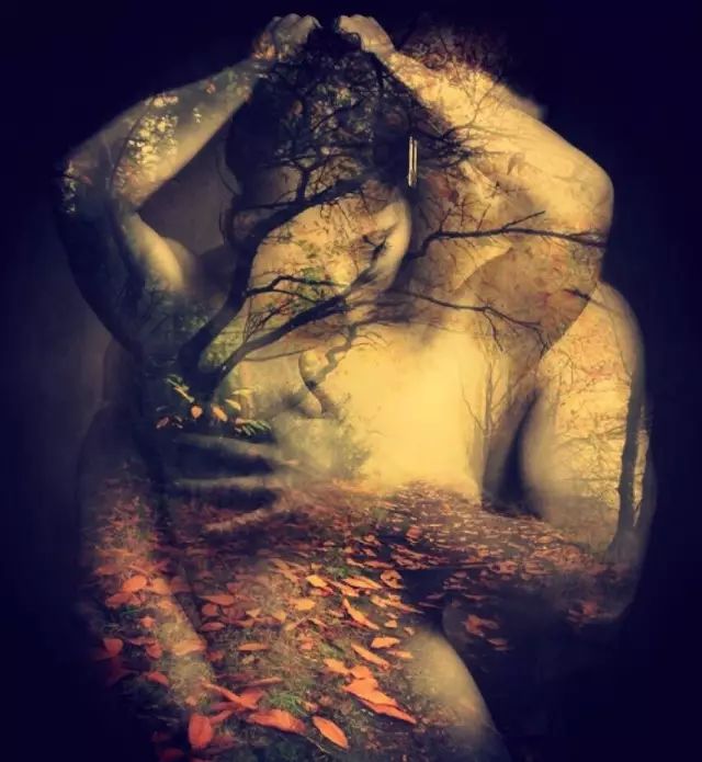 我们未来的婚姻制度真的会消失吗,婚姻制度会不会在未来走向瓦解